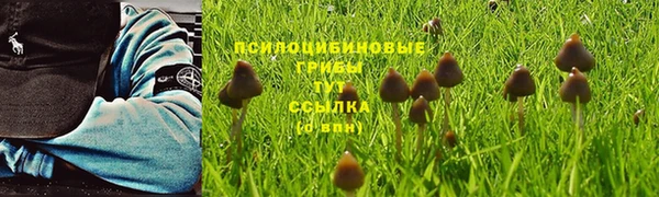 jwh Лагань