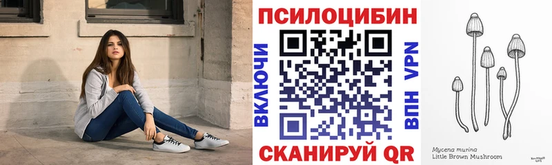 Галлюциногенные грибы Magic Shrooms Купить Евпатория